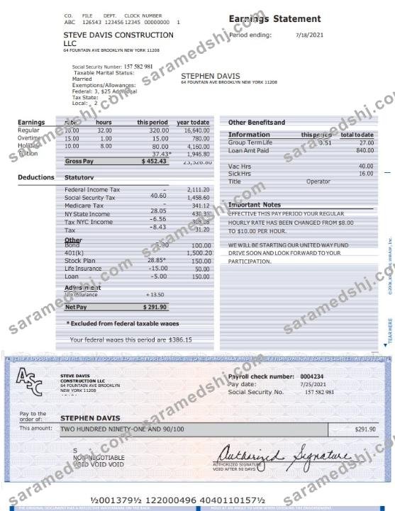 Construcion LLC earnings statement